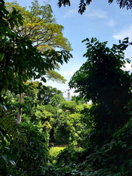 Mount Faber Lodge (D4), Condominium #460697361